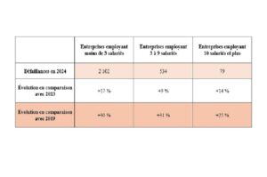 Répartition de la taille des entreprises parmi celles défaillantes en 2024. ©BPCE